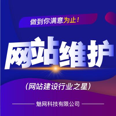 聊城seo网站维护(漳州微信营销)