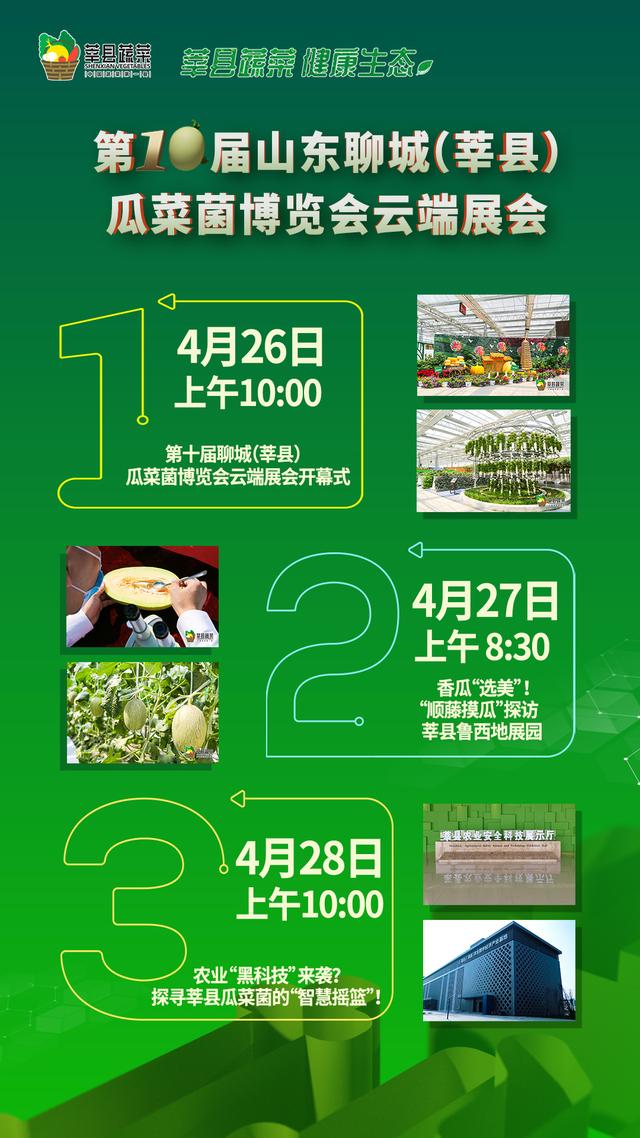 山东省聊城市辛县瓜菜菌网站(山东莘县属于哪个市)