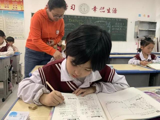 聊城鼎顺小学网站(聊城鼎顺小学简介)