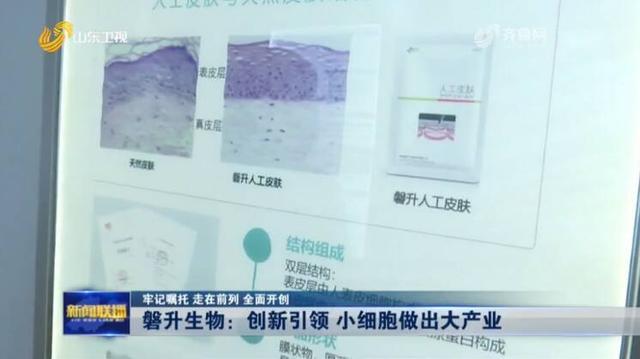 聊城护肤品批发官方网站的简单介绍