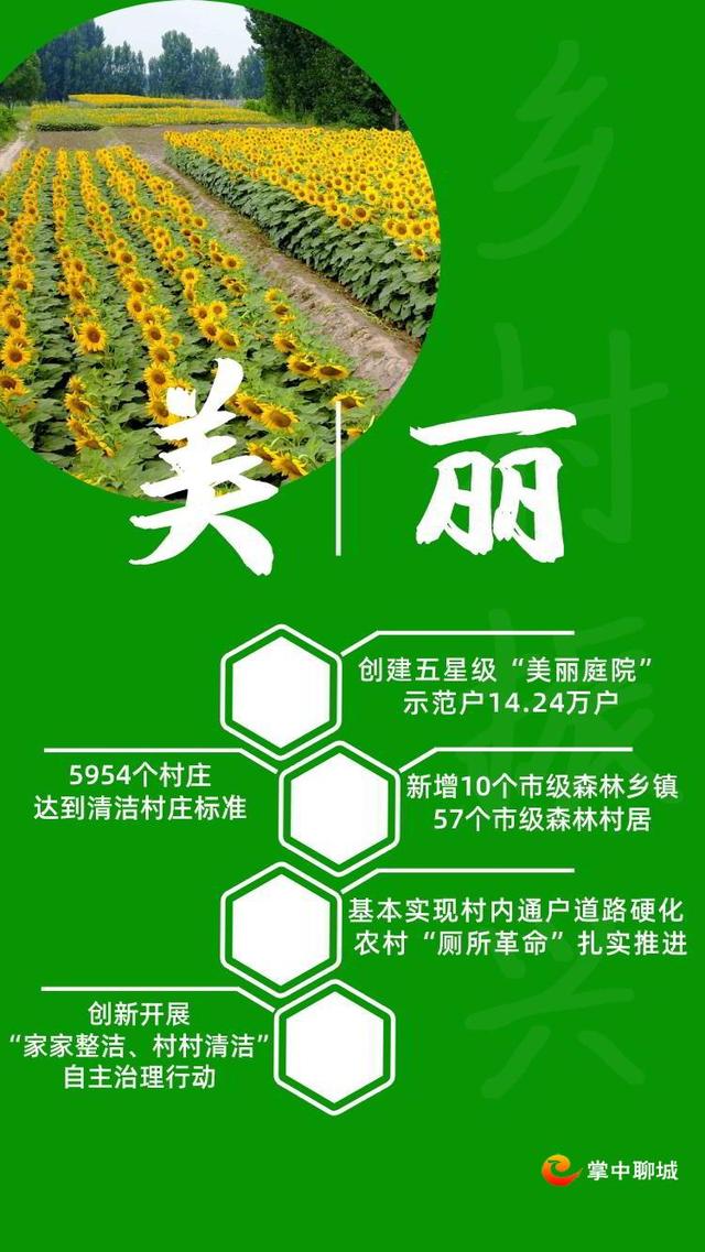 聊城网站关键词优化排名(聊城关键词优化推广)