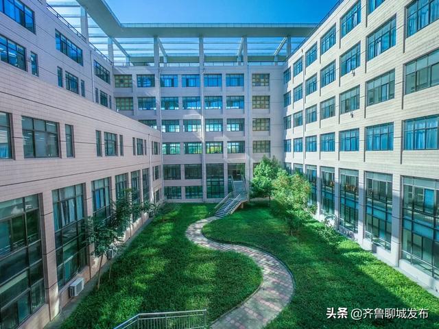 聊城大学继续教育网站的简单介绍