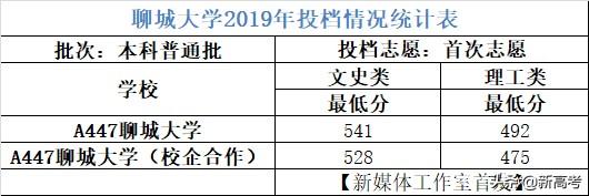 聊城大学官方网站录取查询(潍坊学院官网录取查询)