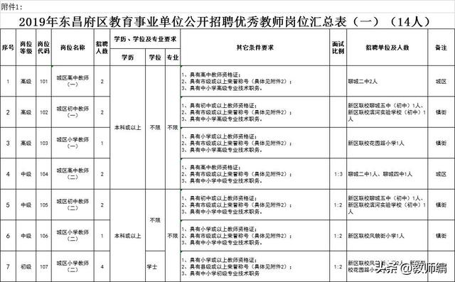 聊城东昌府区人民政府网站招教师的(东昌府区服务大厅时间)