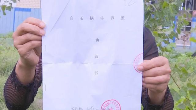 聊城面膜官方网站(聊城一问到底)