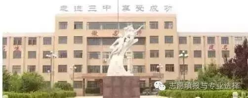 聊城九中实验中学北校网站2020(聊城第四中学)