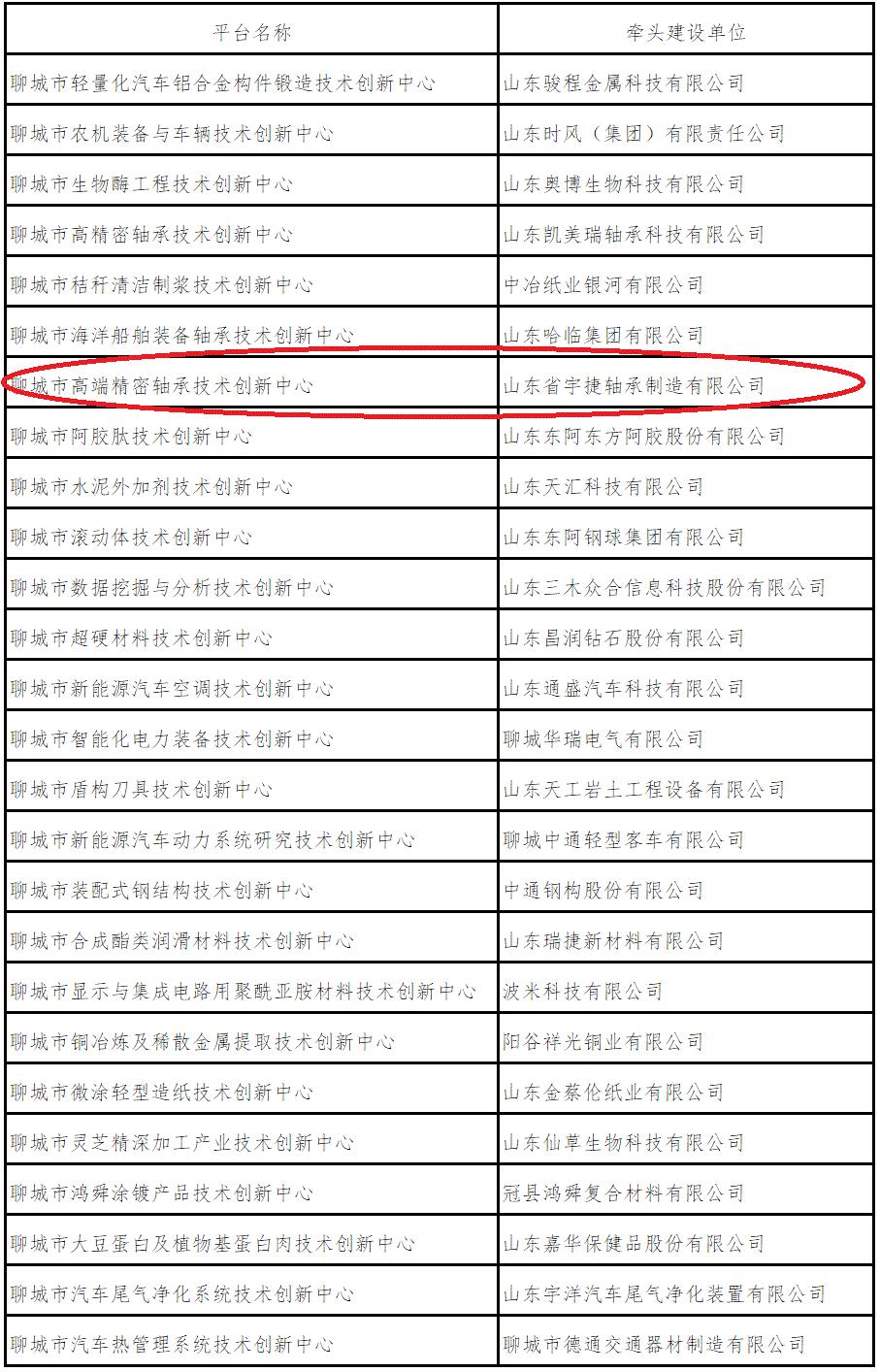 聊城市网站技术平台(聊城继续教育平台登录)