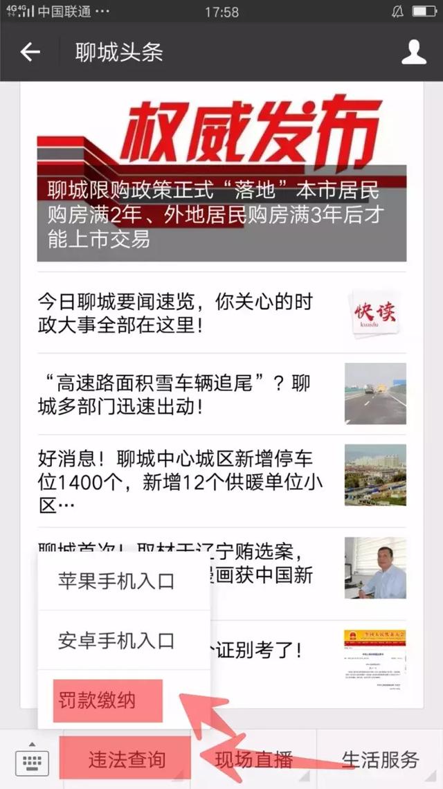 聊城车辆违章查询系统官方网站(聊城驾照个人信息查询)