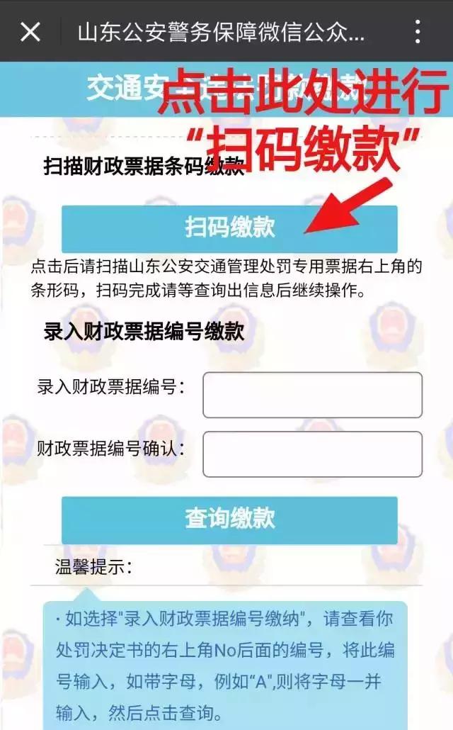 聊城车辆违章查询系统官方网站(聊城驾照个人信息查询)