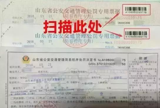 聊城车辆违章查询系统官方网站(聊城驾照个人信息查询)