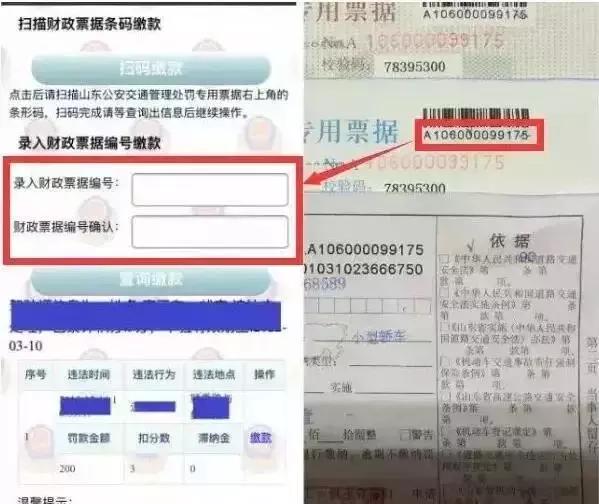 聊城车辆违章查询系统官方网站(聊城驾照个人信息查询)