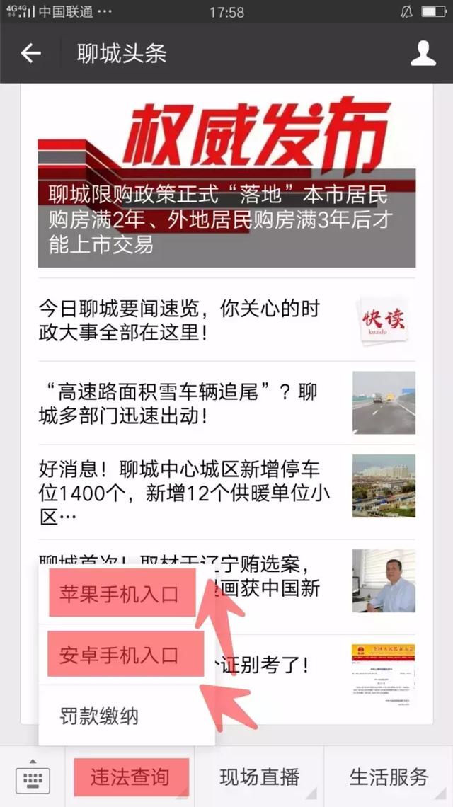 聊城车辆违章查询系统官方网站(聊城驾照个人信息查询)