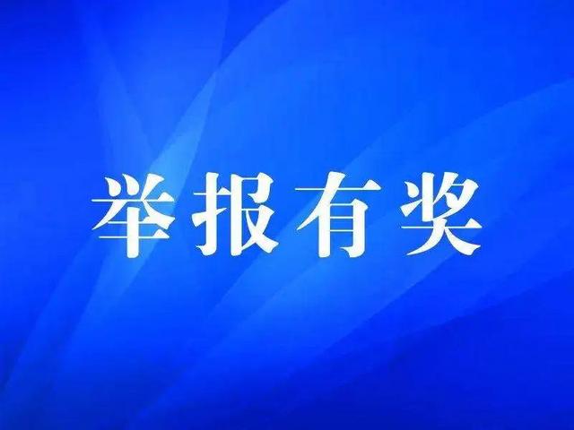 山东省聊城市东昌府区政府网站(聊城市东昌府区穷吗)