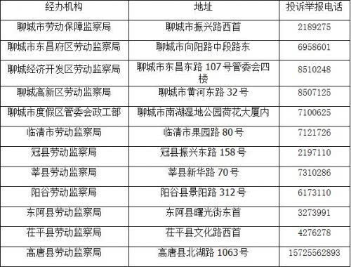 聊城社保官方网站(上海12333社保个人查询)