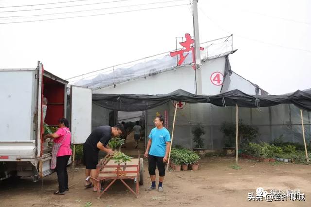 鲜花网站聊城(鲜花网站有哪些)