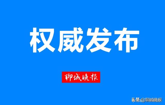 聊城市外国语小学网站(聊城外国语小学怎么样)