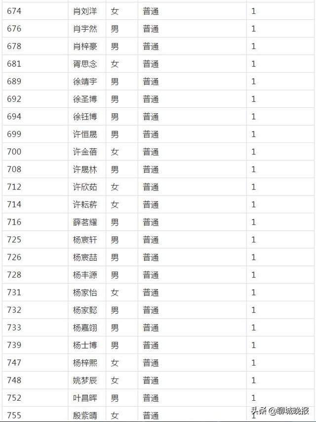 聊城市外国语小学网站(聊城外国语小学怎么样)