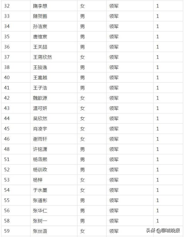 聊城市外国语小学网站(聊城外国语小学怎么样)