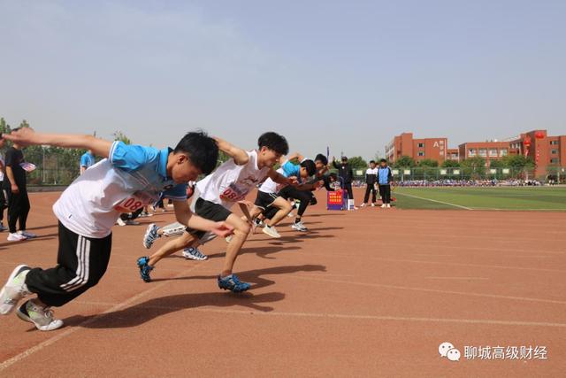 聊城市高级财经学校网站(聊城高级财经学校招聘)