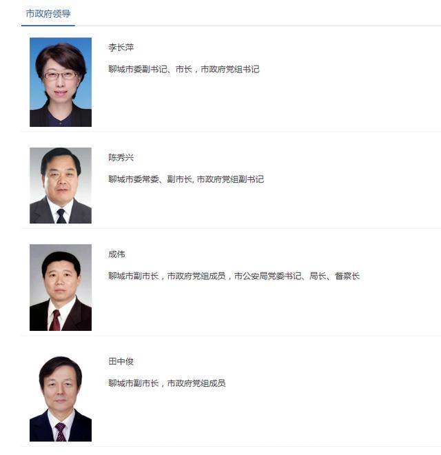 山东聊城政府网站(聊城市行政审批服务局官网)