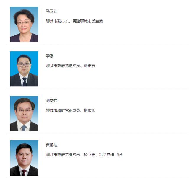 山东聊城政府网站(聊城市行政审批服务局官网)