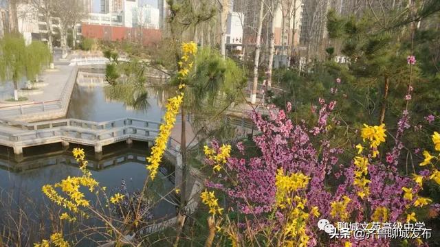 聊城市实验中学网站(聊城市实验中学怎么样)”