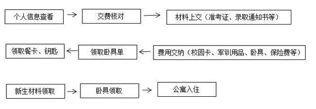 关于聊城大学网站档案在那一块的信息