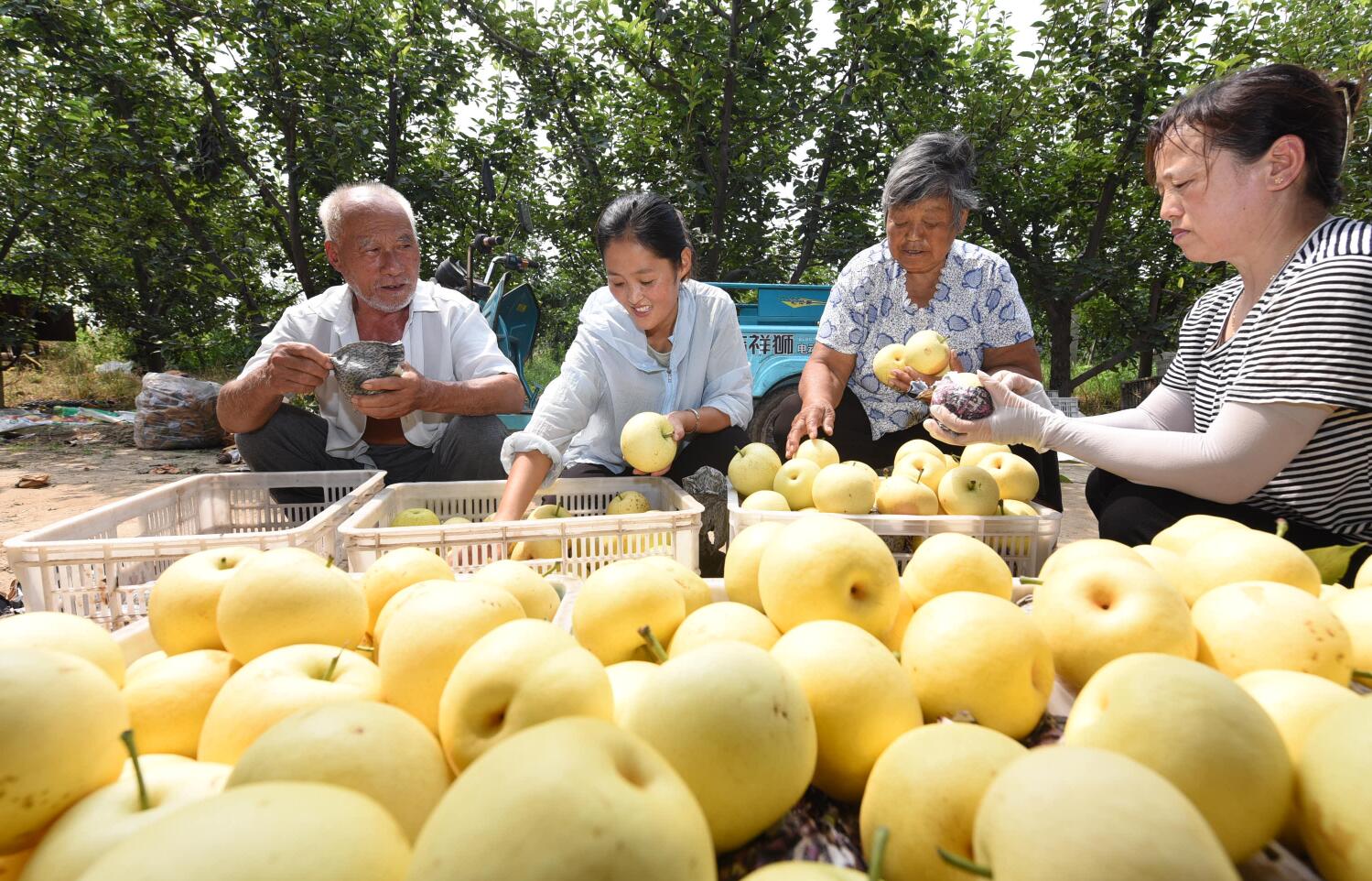 聊城门户网站地址的简单介绍”