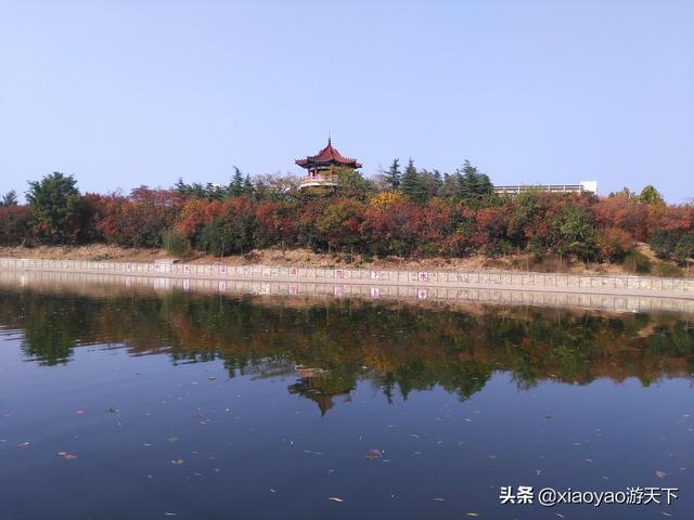 包含聊城大学官方网站查询中心的词条