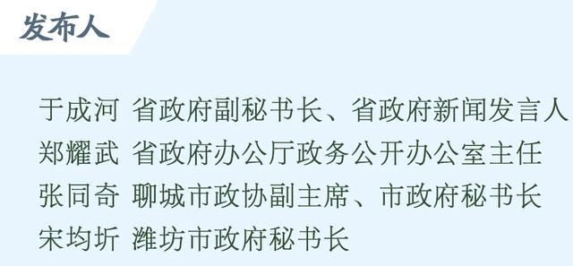 聊城市政府门户网站的优缺点(山东聊城政务网)”