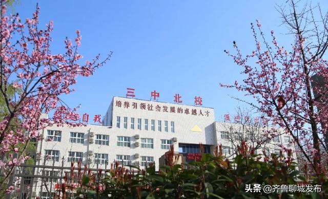 山东省聊城市第一中学官方网站(衡水第一中学官方网站)”