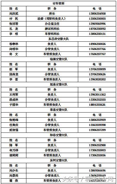 聊城市公安局交警支队网站(聊城市公安局交警支队车管所电话)”