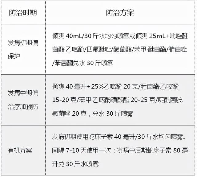 聊城光合生物科技网站(湖北光合生物科技有限公司)