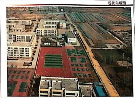 聊城网站建设地址(聊城网络公司排名)”