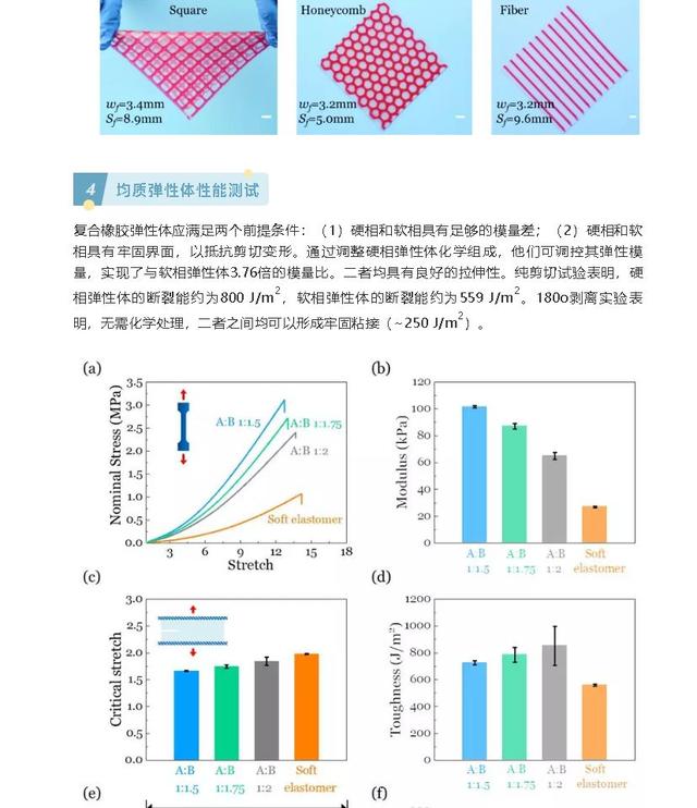 聊城市第二中学网站首页(聊城市第二中学)