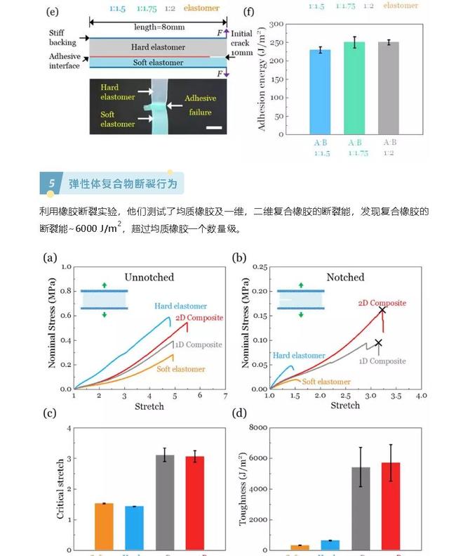 聊城市第二中学网站首页(聊城市第二中学)