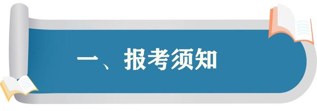 聊城教育招生考试机构官方网站(聊城教育招生考试院)”