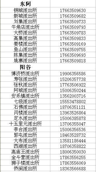 聊城公安户籍网站(聊城日报网站)