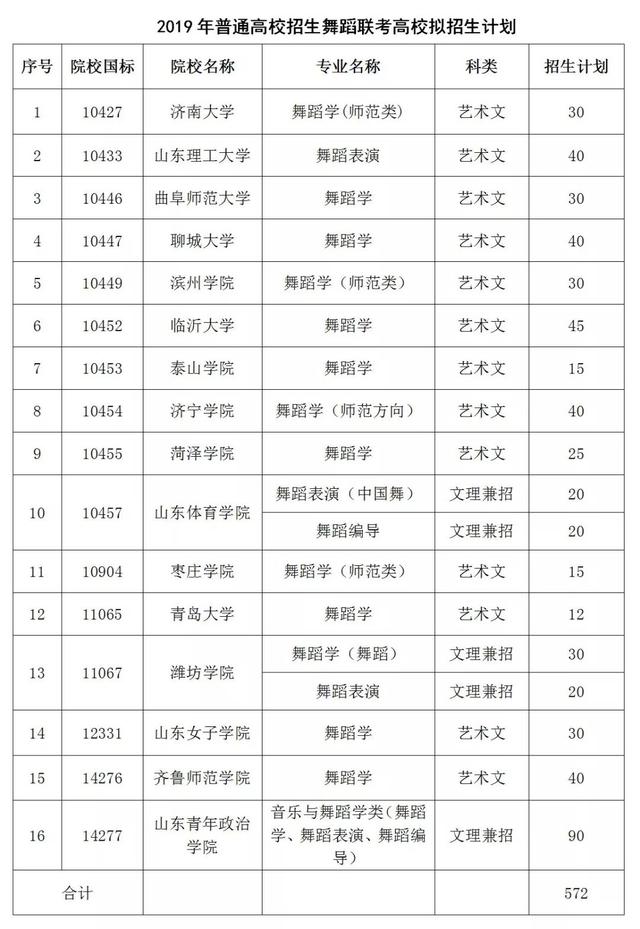 山东省聊城市艺考网站(山东艺考网上报名系统)