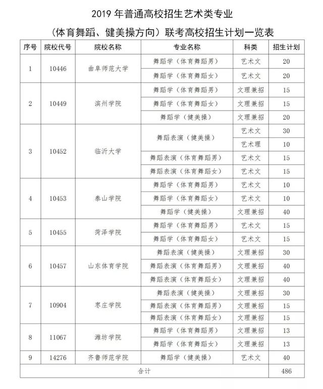 山东省聊城市艺考网站(山东艺考网上报名系统)