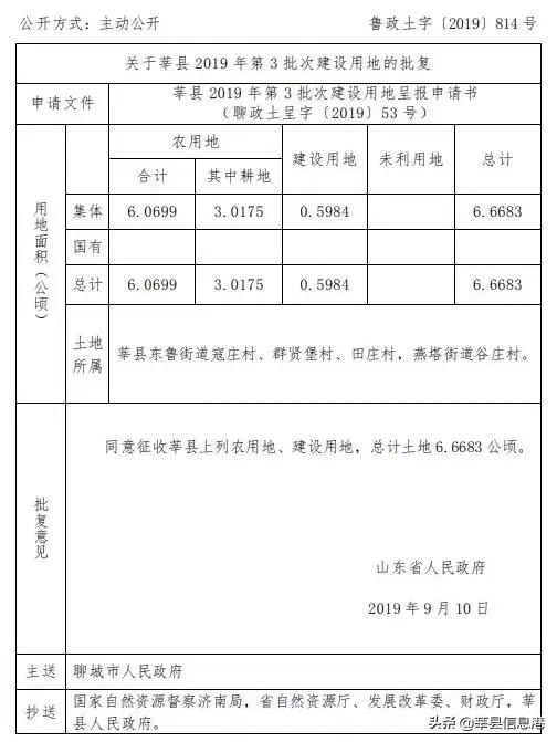 聊城信息港网站(聊城唐金文照片)