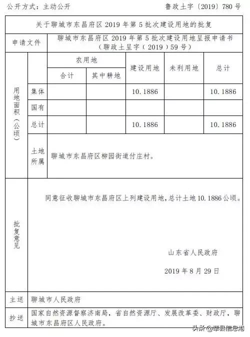 聊城信息港网站(聊城唐金文照片)