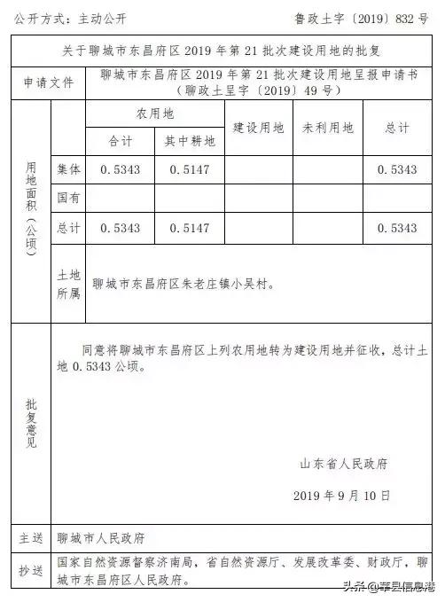 聊城信息港网站(聊城唐金文照片)