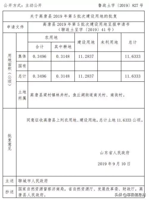 聊城信息港网站(聊城唐金文照片)