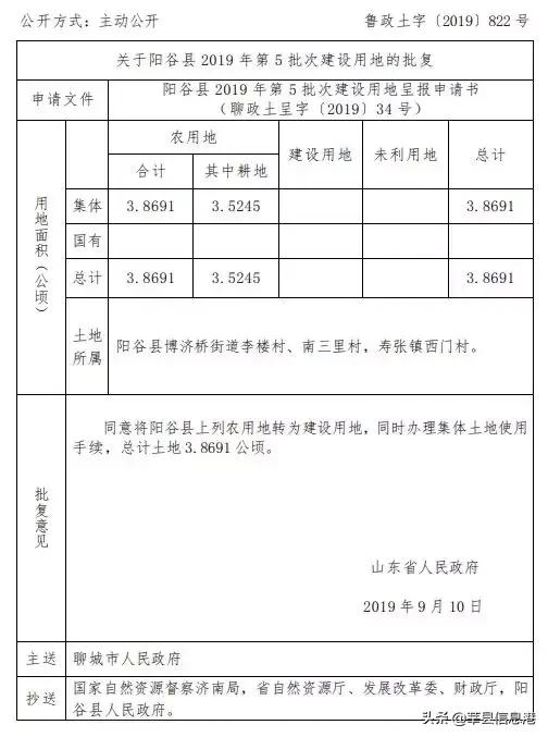 聊城信息港网站(聊城唐金文照片)