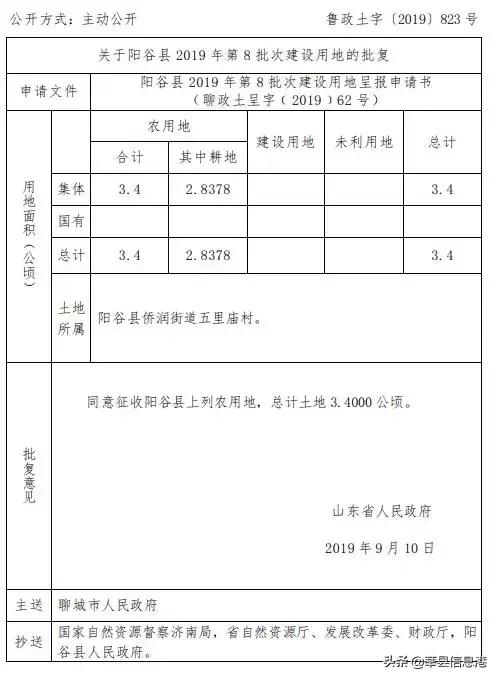 聊城信息港网站(聊城唐金文照片)