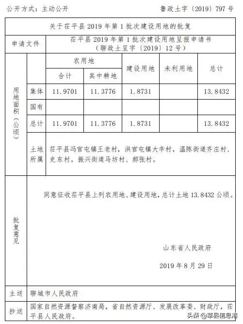 聊城信息港网站(聊城唐金文照片)