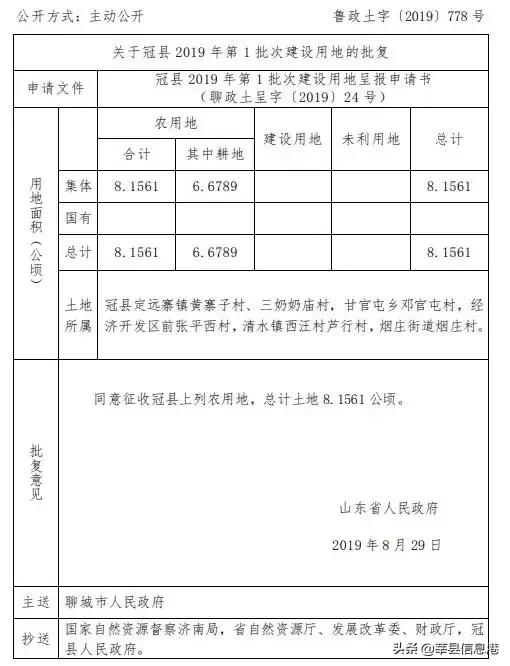 聊城信息港网站(聊城唐金文照片)