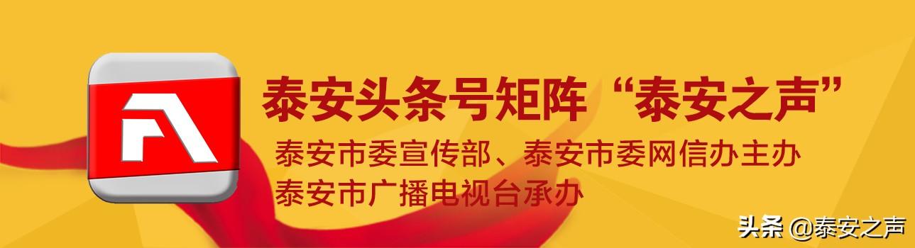 聊城广播电视台网站(聊城广播电视台综合频道直播)