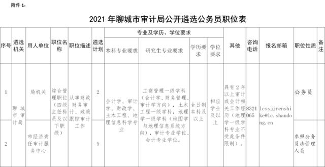 聊城市审计局门户网站(聊城市审计局杨志刚)”